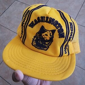 Vintage Washington Huskies Hat